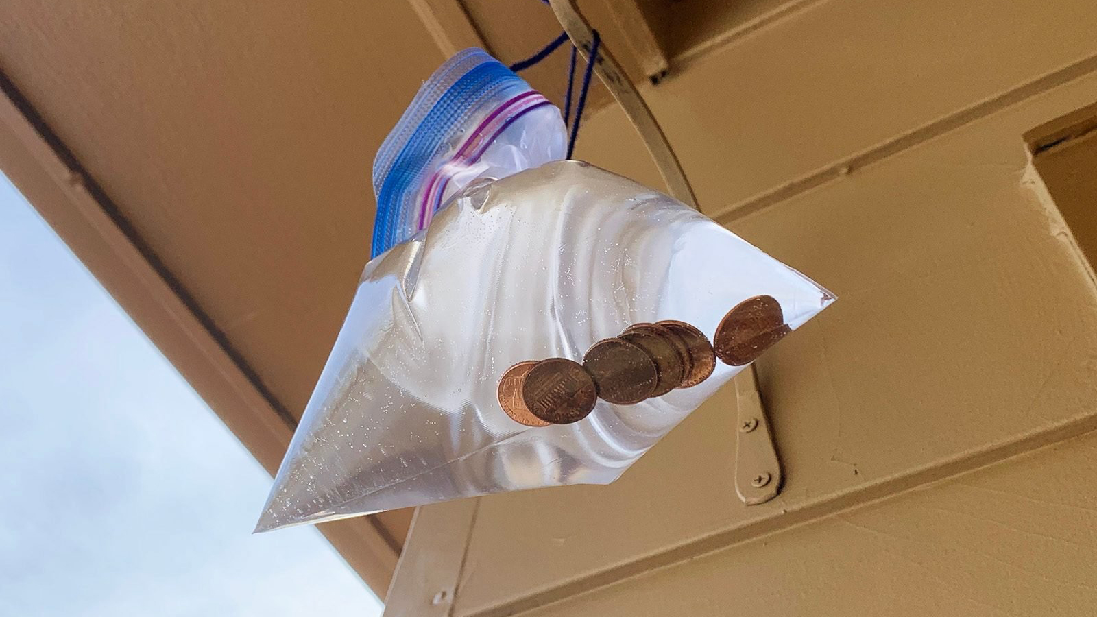 Do Water Bags Really Repel Flies?