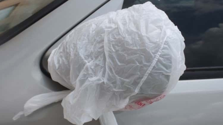 Cover Parked Car Mirrors Overnight