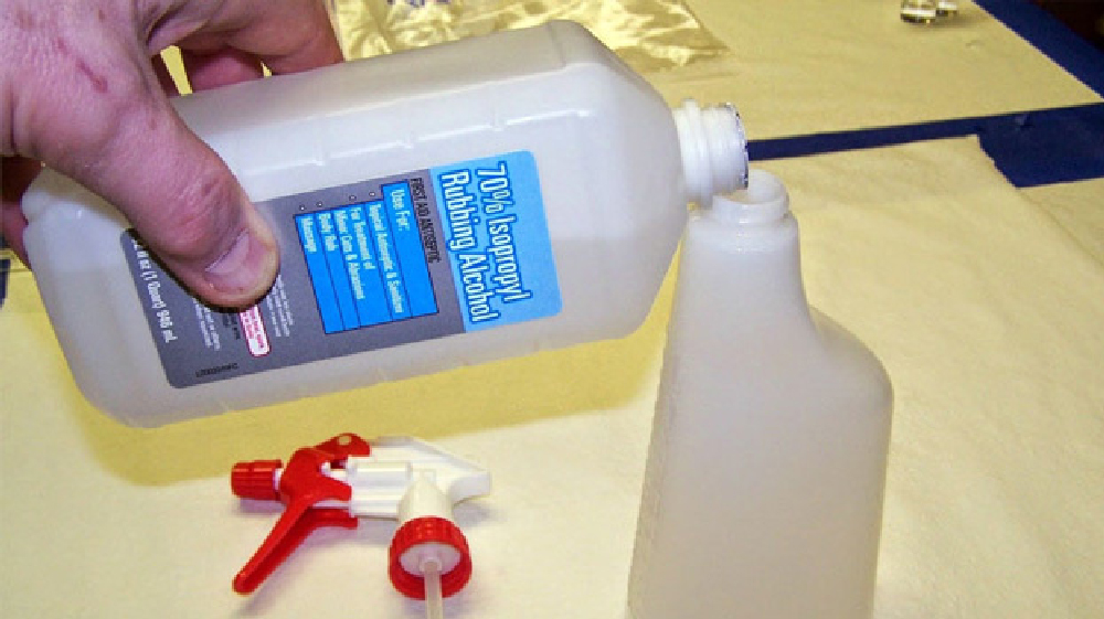 Handle Bed Bugs Without Alcohol Spray