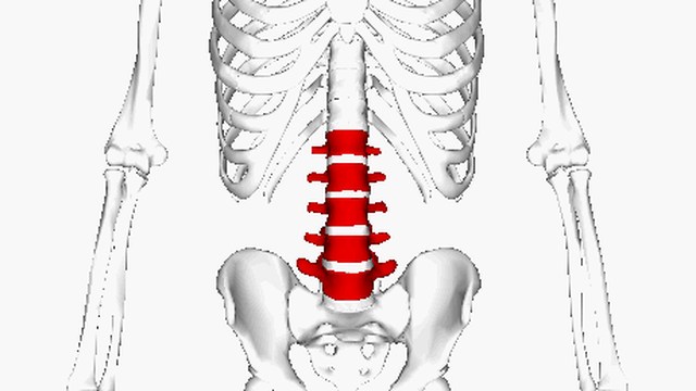 The Sciatica Recovery System